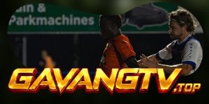 Dự Đoán Trận Almere City FC Vs Volendam 01h00 04/10