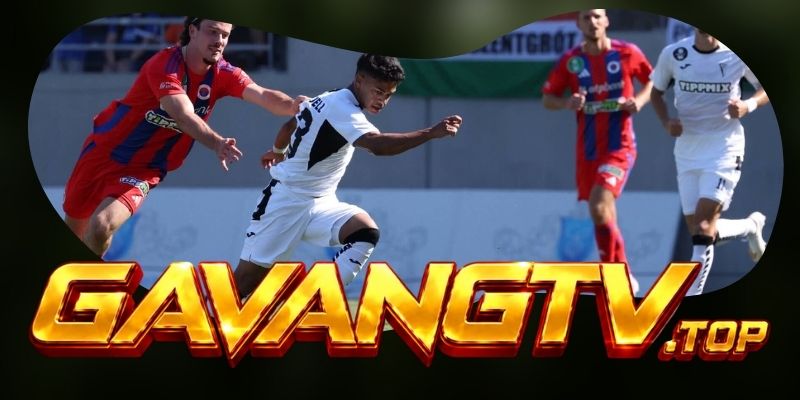 Tổng hợp dự đoán kèo Hungary vs Ukraine ngày 26/09 theo nhịp mở dần